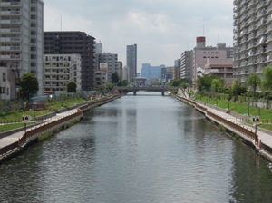 小名木川では、江戸情緒の感じられる水辺景観を生み
出す小名木川石積み風親水護岸を整備中。